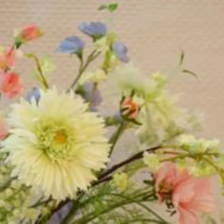 Les Belles Dormantes